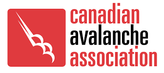 canadian avalanche association logo
